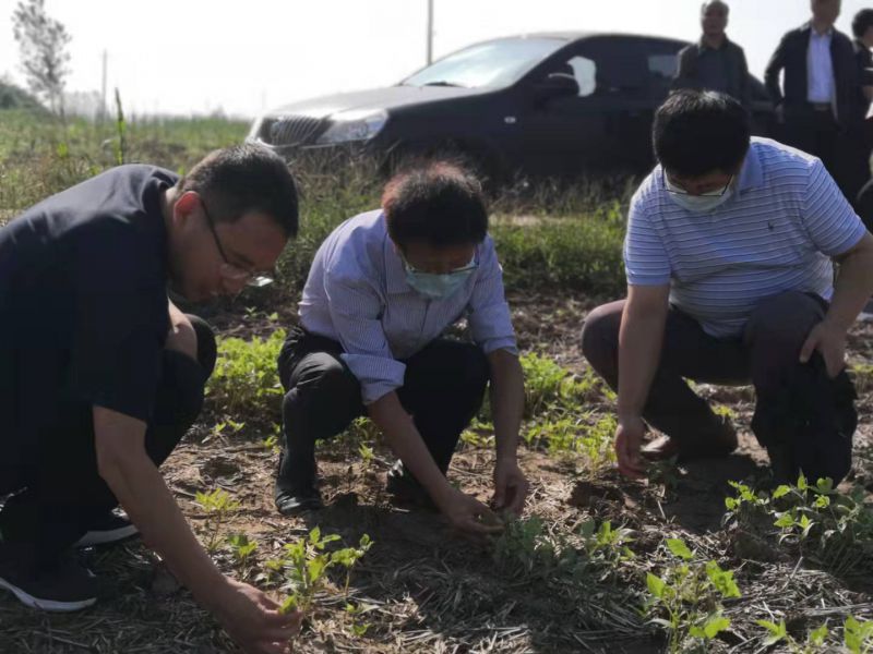 614a83ecccbe9.jpg 614a83ecccbe9.jpg